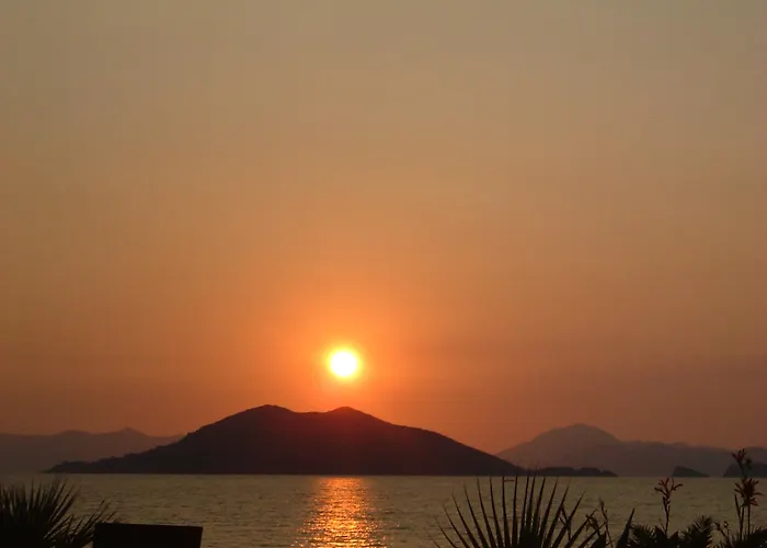 Pelin Fethiye