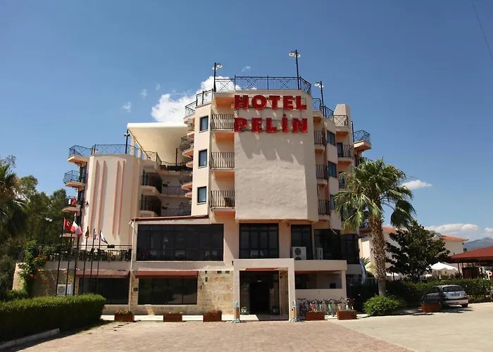 Pelin فندق